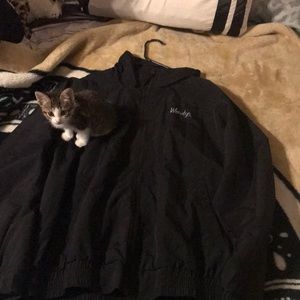 wendy’s windbreaker